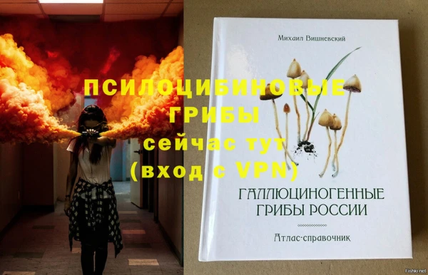 таблы Алексин